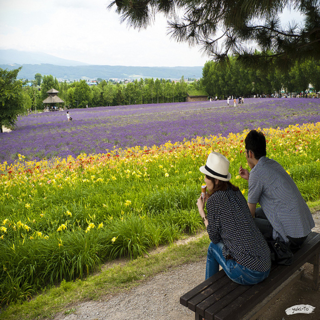 Musim Panas di Hokkaido Jepang - Info Wisata di Jepang