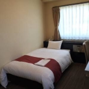 Ascent Plaza Hotel Shizuoka