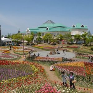 Niigata Furusato Village - Info Wisata Dan Liburan Di Jepang