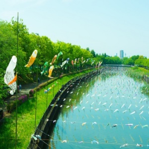 Suasana Koinobori di Gunma Jepang