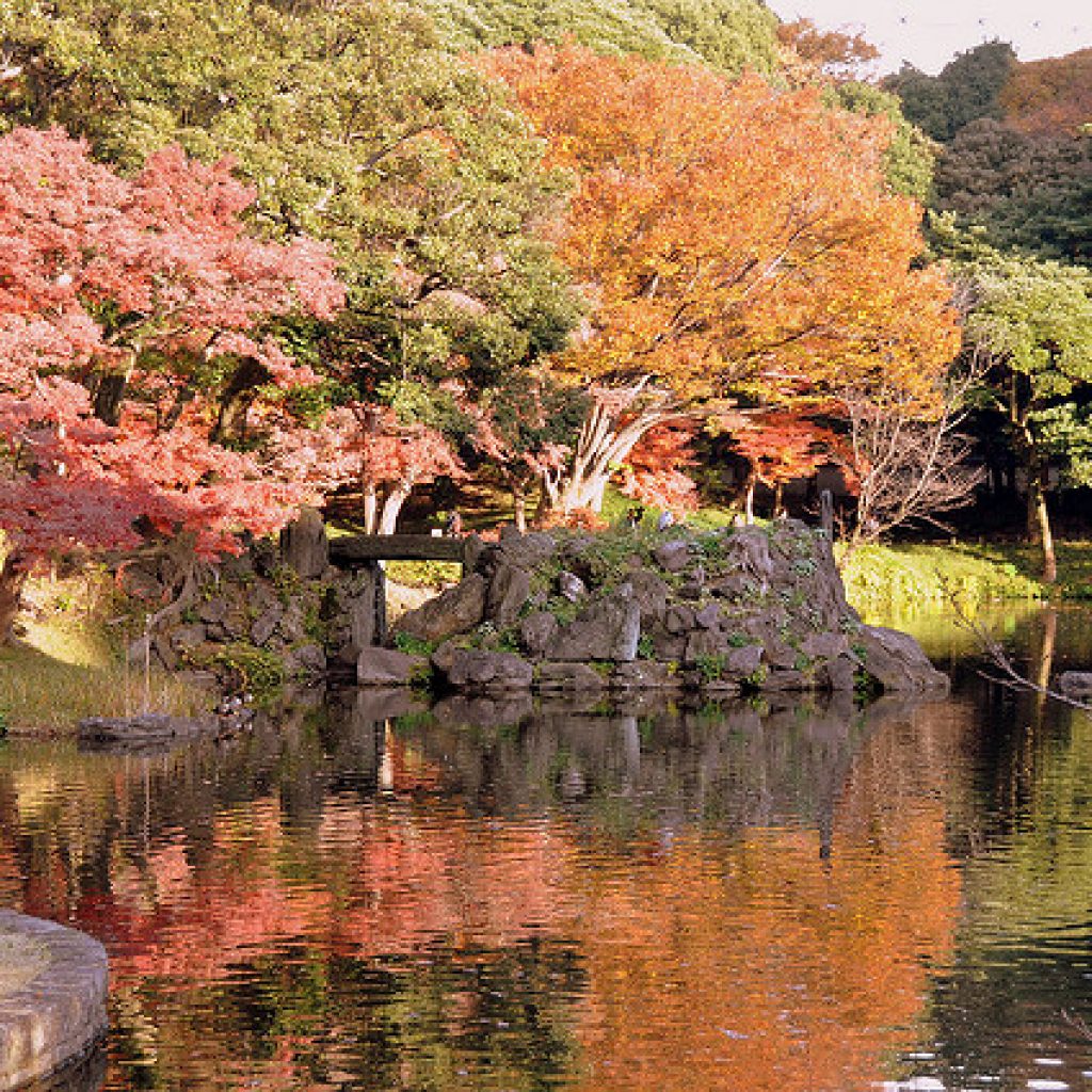 5 Taman Terindah Di Tokyo - Info Liburan Dan Wisata Di Jepang