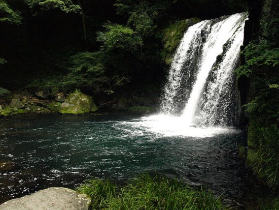 Hutan Air Terjun  Air  Terjun  Kawazu Nanadaru Info Wisata dan Liburan di Jepang