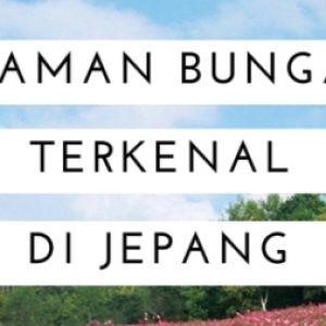 Pemandangan Bukit Biei Hokkaido - Info Wisata Di Jepang