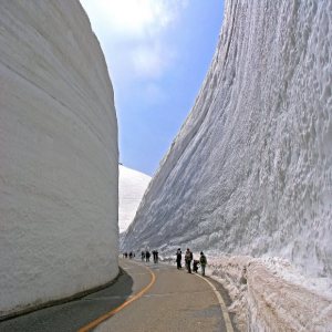 Tembok Salju di Tateyama