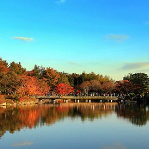 5 Taman Terindah Di Tokyo - Info Liburan Dan Wisata Di Jepang